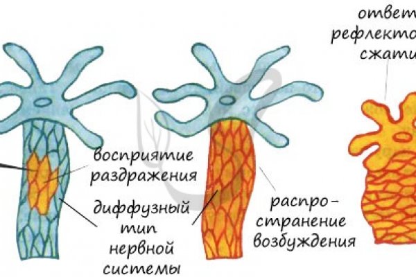 Кракен ты знаешь где покупать